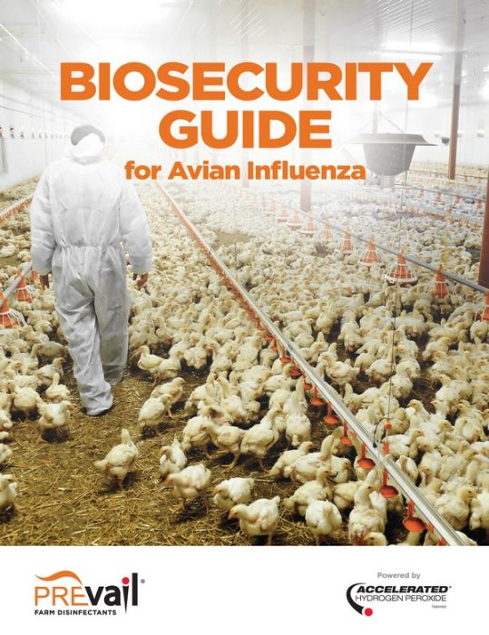 Biosecurity Guide For Avian Flu Prevail Farm Disinfectants